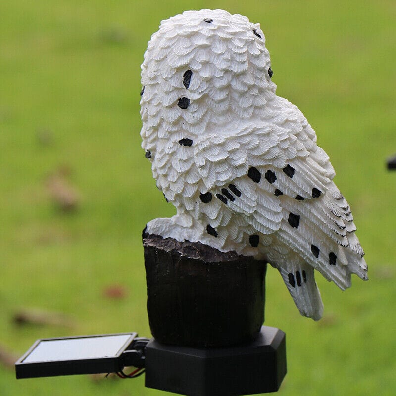 4U Light "Outdoor Solar Landscape Lamp – Owl & Parrot Edition"