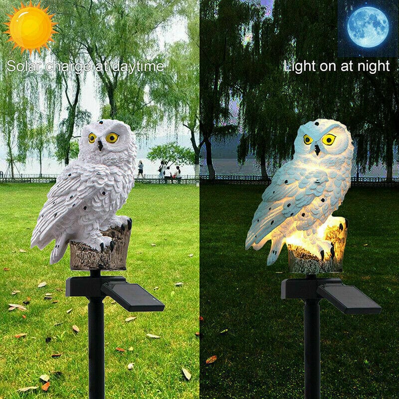 4U Light "Outdoor Solar Landscape Lamp – Owl & Parrot Edition"