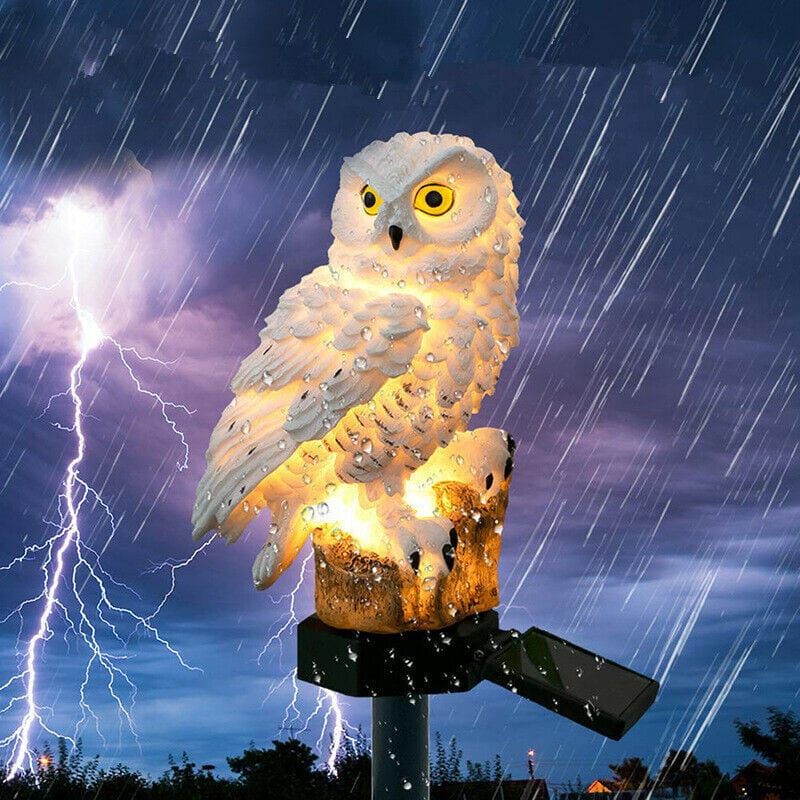 4U Light "Outdoor Solar Landscape Lamp – Owl & Parrot Edition"